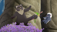 Mama-Binturong (1207)