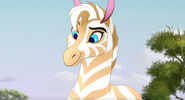 The-Golden-Zebra (273)