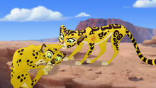 Azaad | The Lion Guard Wiki | Fandom
