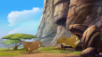 Follow-that-hippo (253).png
