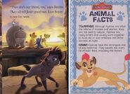 Last page-Animal Facts page