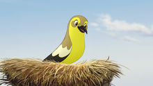 The-morning-report (210).png