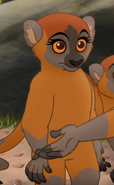 Female Lemur