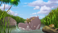 Beshte-and-the-hippo-lanes (217).png