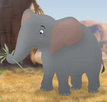 Male Elephant