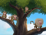 Baboons (animal)