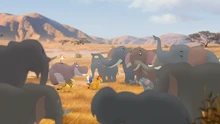 The herd is saved