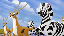 The-Mbali-Fields-Migration (179)