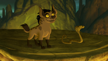 Undercover-kinyonga (341).png
