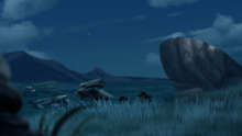 Too-Many-Termites (32)