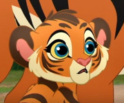 Pasha.png