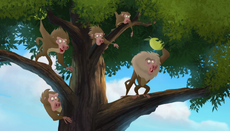 Baboons (145)