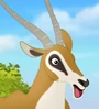 Female Gazelle-profile