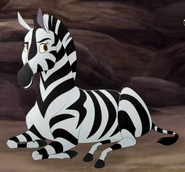 Female Zebra