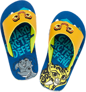 Flip Flops