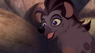 Never-Judge-a-Hyena-by-Its-Spots (227)