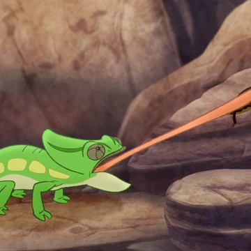 Circle Of Life The Lion Guard Wiki Fandom This song is by elaiza and appears on the album march 28 (2013) and on the album gallery (2014). circle of life the lion guard wiki