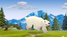 Ora attacks the polar bear