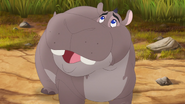 Follow-That-Hippo! (302)