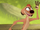 Timon