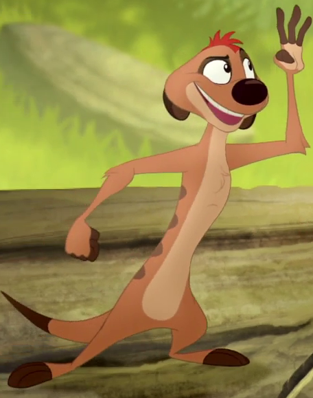 timon lion king animal