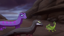 Undercover-kinyonga (434).png