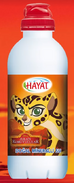 Hayat Water