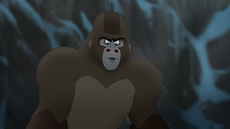 The-lost-gorillas (466).png