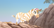 The-Golden-Zebra (558)