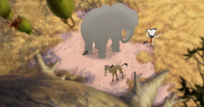 Rafiki's-New-Neighbors (101)