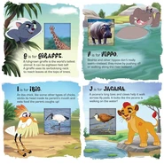 Kioani-3.png (408 KB) G-J