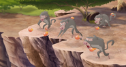 Baboons! (822)