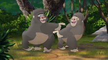 The-lost-gorillas (186)