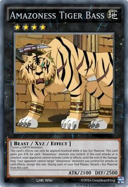 Amazoness Tiger Bass