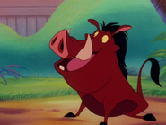 LSOOH Pumbaa12