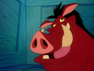 FF Pumbaa4