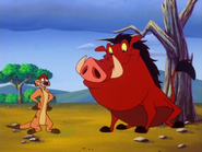 RFD Timon & Pumbaa43