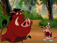 SSS Timon & Pumbaa25