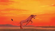 Lion-king2-disneyscreencaps.com-2410