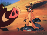 MAY Timon Pumbaa & Buttons2