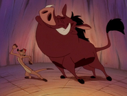 AQ Timon & Pumbaa54