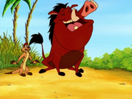 RFD Timon & Pumbaa10