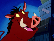 YC Pumbaa19