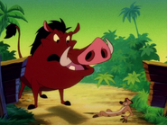 BR Timon & Pumbaa5