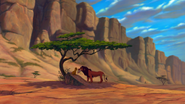 Lion-king-disneyscreencaps.com-3570