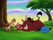 TSIC Timon & Pumbaa26