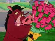 BHB Pumbaa