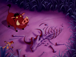 COLT Timon & Pumbaa2