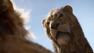 Lionking2019-animationscreencaps.com-5059