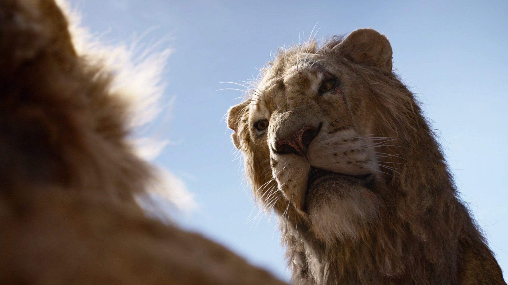 Scar 19 Film The Lion King Wiki Fandom